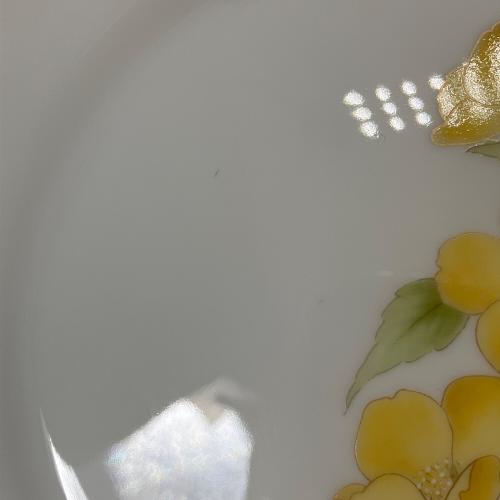 Noritake (ノリタケ)プレート 廃盤品 ガラコンテッサ 5Pセット