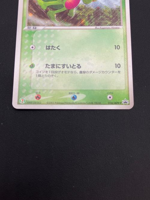 セブンイレブン限定企画　ポケモンカード　ADV プロモカード　キモリ