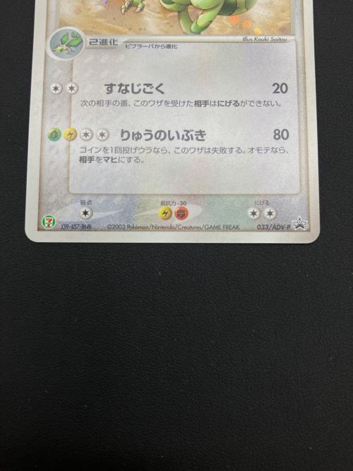 セブンイレブン限定企画　ポケモンカード　ADV プロモカード　フライゴン