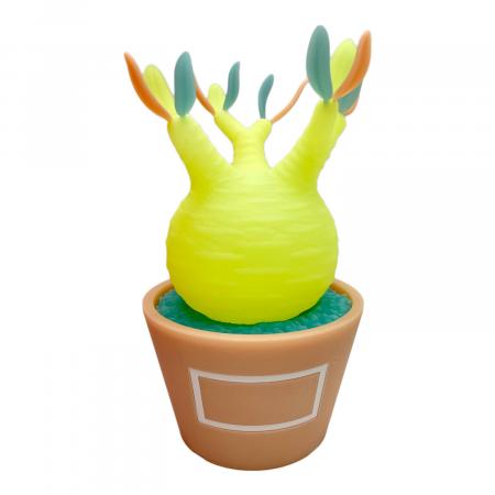 MEDICOM TOY (メディコムトイ)×BOTANIZE ボタナイズ VCD Pachypodium