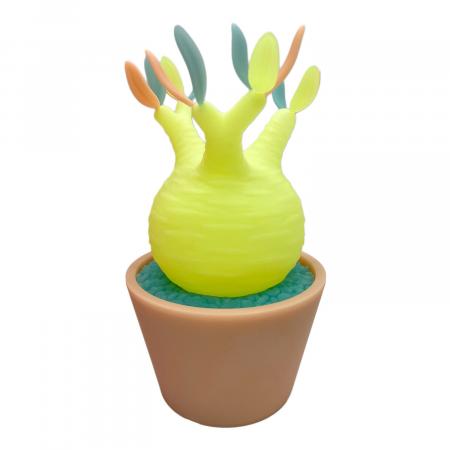 MEDICOM TOY (メディコムトイ)×BOTANIZE ボタナイズ VCD Pachypodium