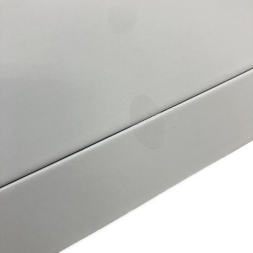 SALONIA (サロニア) ピュイアブライトスチーマー SAL22207SL
