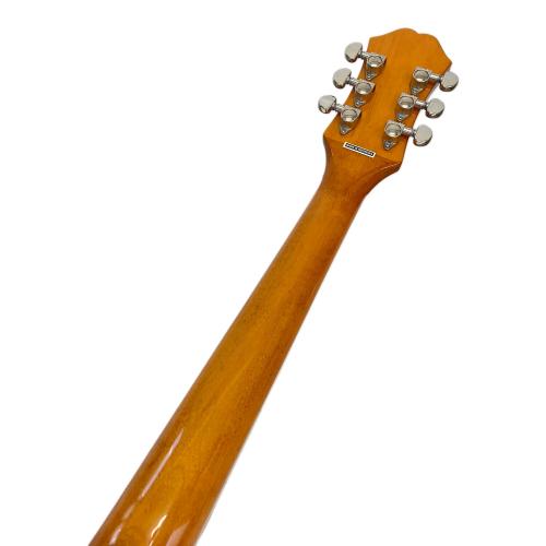 EPIPHONE (エピフォン) Dove Studio Violinburst