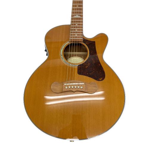 EPIPHONE (エピフォン)EJ-200 Coupe/VN