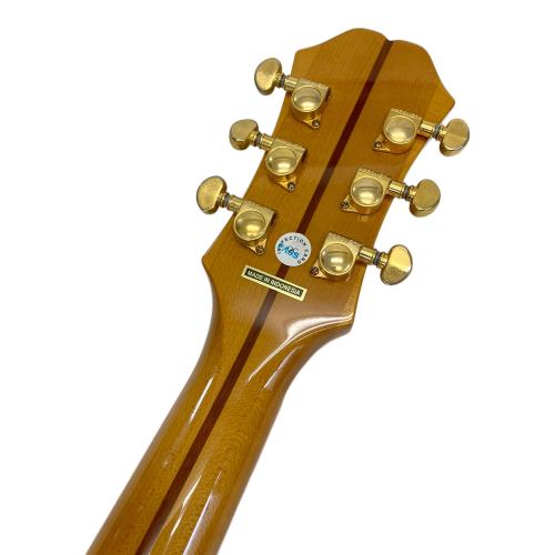 EPIPHONE (エピフォン)EJ-200 Coupe/VN