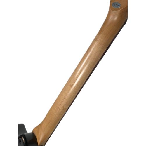 FERNANDES (フェルナンデス) アンプ内蔵エレキギター ZO-3芸達者