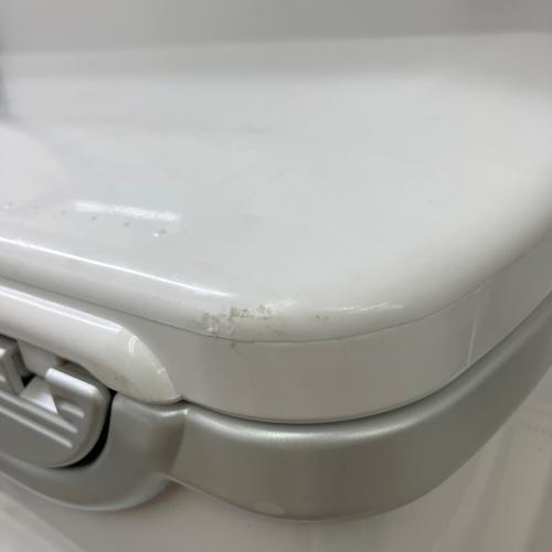 DAIWA (ダイワ) クーラーボックス LIGHT TRUNK IV VSS 3000RJ