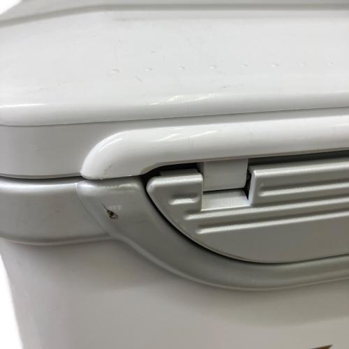DAIWA (ダイワ) クーラーボックス LIGHT TRUNK IV VSS 3000RJ