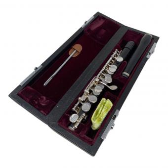 Philipp Hammig ピッコロ @ Π 23952