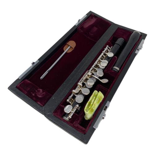 Philipp Hammig ピッコロ @ Π 23952