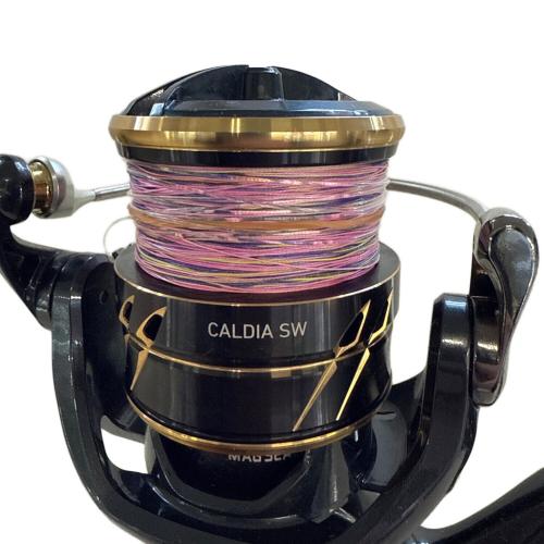 DAIWA (ダイワ) リール CALDIA SW 8000-H｜トレファクONLINE