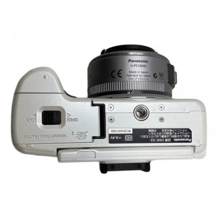 Panasonic (パナソニック) ミラーレス一眼カメラ DMC-G5 2012年モデル