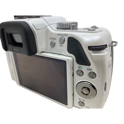 Panasonic (パナソニック) ミラーレス一眼カメラ DMC-G5 2012年モデル