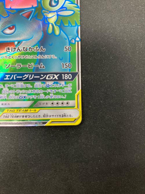 セレビィ＆フシギバナ ポケモンカード 096/095 SR