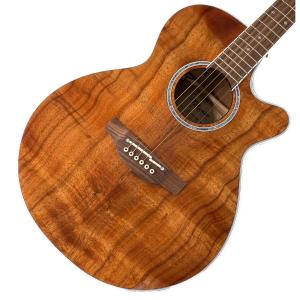 Takamine (タカミネ) エレアコギター PTU131KC