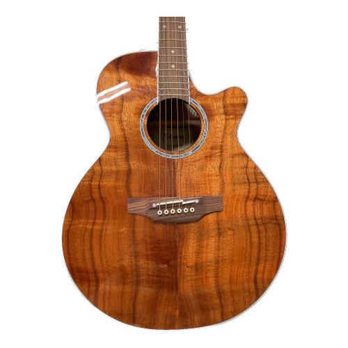 Takamine (タカミネ) エレアコギター PTU131KC