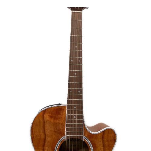 Takamine (タカミネ) エレアコギター PTU131KC