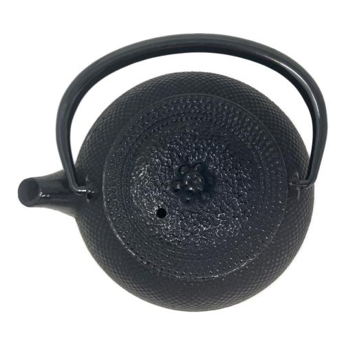 南部鉄器 (ナンブテッキ) 鉄瓶 急須 算玉アラレ0.3L