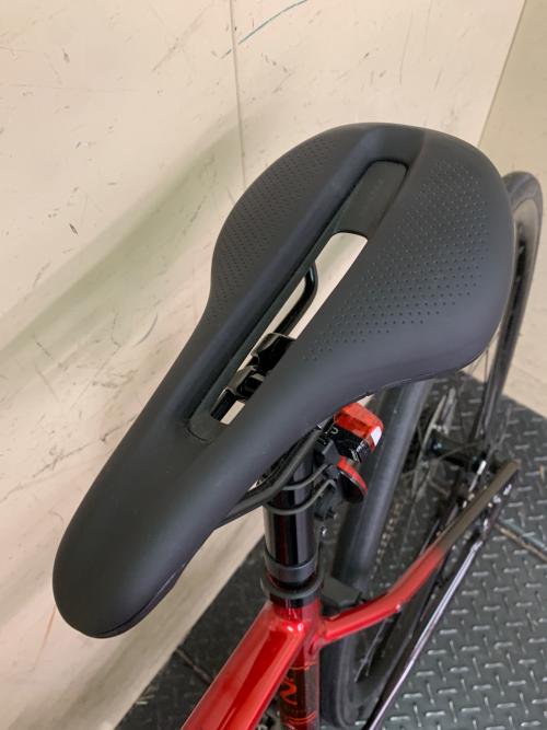 TREK (トレック) 自転車 DOMANE AL2 GEN4 24年式 700C レッド