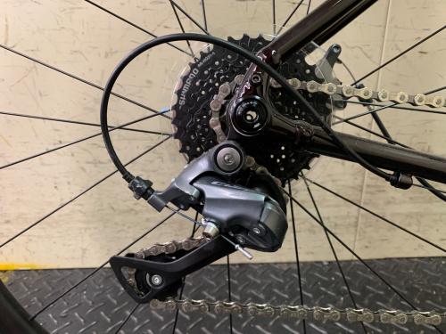 TREK (トレック) 自転車 DOMANE AL2 GEN4 24年式 700C レッド