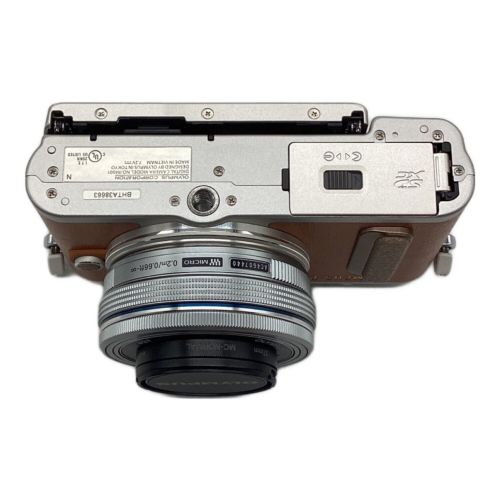 OLYMPUS (オリンパス) ミラーレス一眼カメラ PEN E-PL8 1720万画素(総画素) 専用電池 BHTA38663