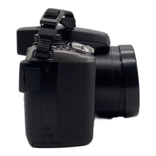 Nikon デジタルカメラ デジタルズーム4倍 2008年発売モデル経年の為バッテリー保証無し COOLPIX P80 1010万画素 通常：ISO64～6400 専用電池 SDXCカード対応 通常：ISO64～6400 20121896