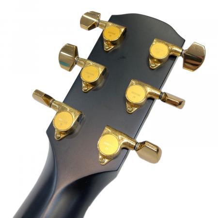 K.Yairi (ケーヤイリ) アコースティックギター オーダー品 BL-120