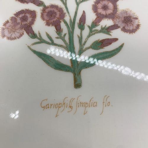 Wedgwood (ウェッジウッド) オーバルプレート ガーデンメイズ