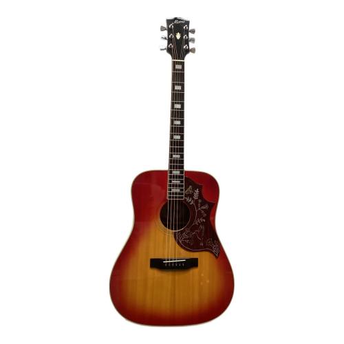 MORRIS (モーリス) アコースティックギター WH-30S