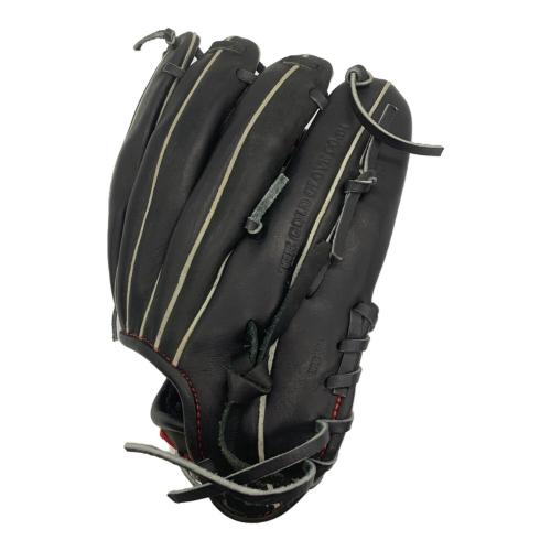 RAWLINGS  少年野球用グローブ PROEXCEL ブラック