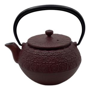 OIGEN (オイゲン) 南部鉄器 急須