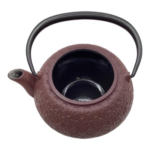 OIGEN (オイゲン) 南部鉄器 急須