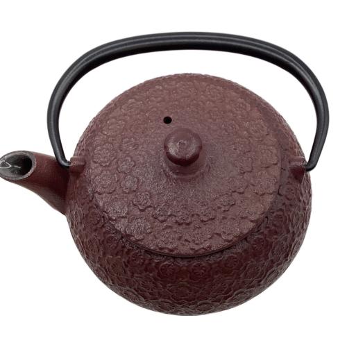 OIGEN (オイゲン) 南部鉄器 急須
