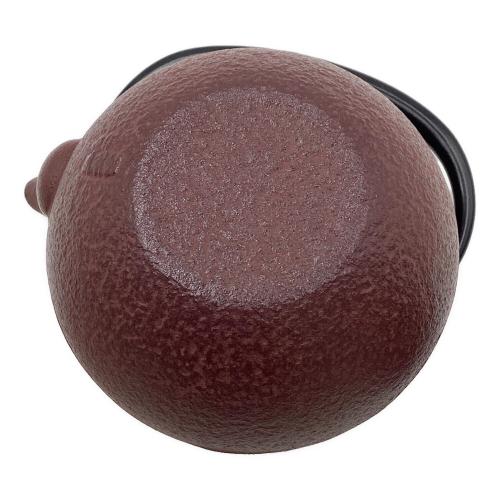 OIGEN (オイゲン) 南部鉄器 急須