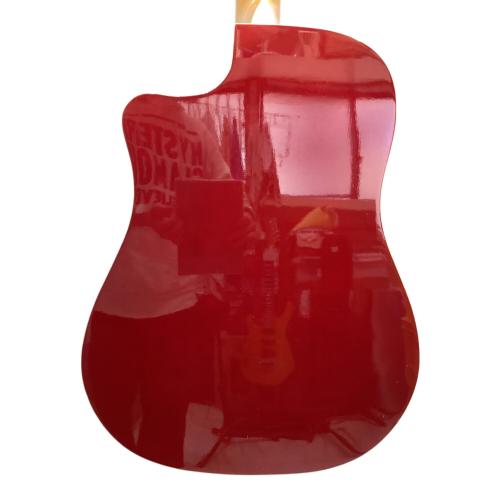 FENDER (フェンダー) SONORAN エレアコギター