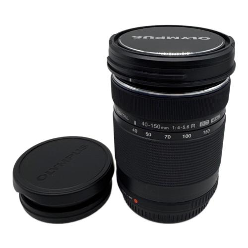 OLYMPUS (オリンパス) ミラーレス一眼レフカメラ E-M10