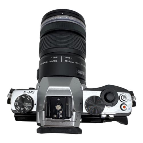 OLYMPUS (オリンパス) ミラーレス一眼カメラ E-M5