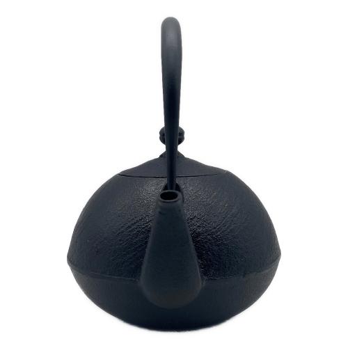 南部鉄器 (ナンブテッキ) 急須