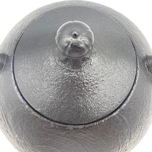 南部鉄器 (ナンブテッキ) 急須