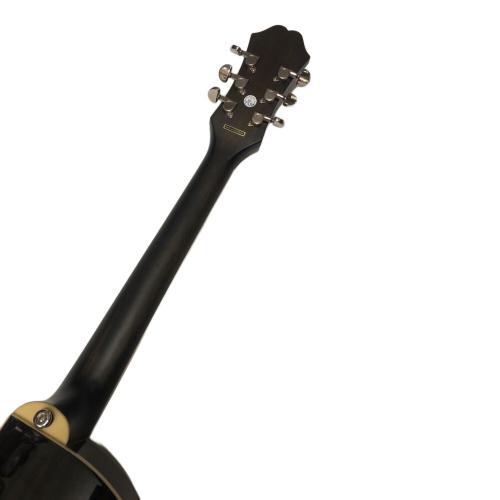EPIPHONE (エピフォン)  J-45EC