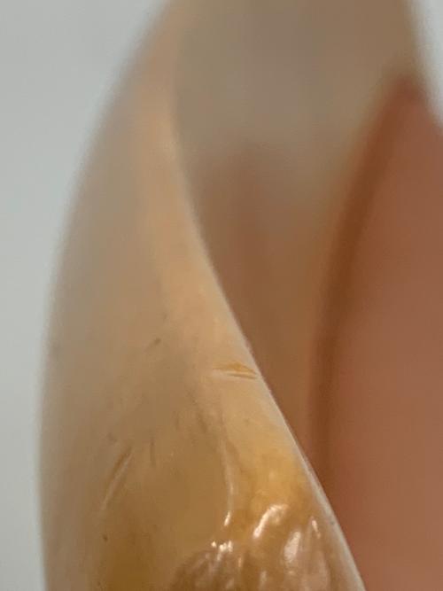 karimoku (カリモク)DIRETTORE ダイニングチェアー オレンジ×ナチュラル