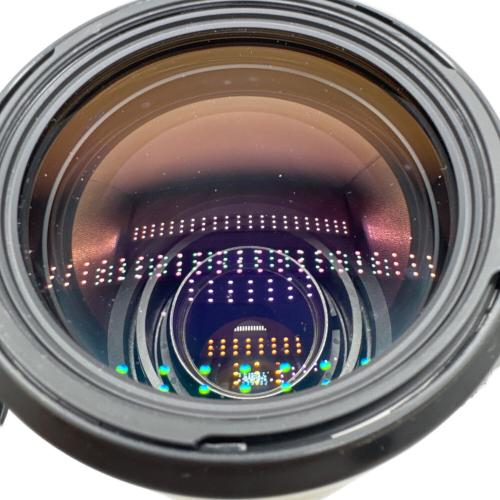 SIGMA (シグマ) 望遠ズームレンズ APO 170-500mm F5-6.3 DG