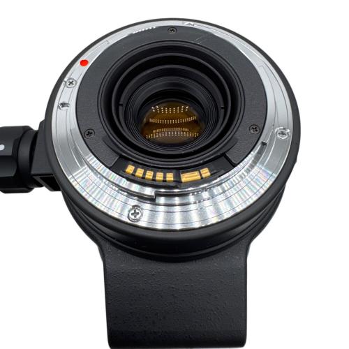 SIGMA (シグマ) 望遠ズームレンズ APO 170-500mm F5-6.3 DG