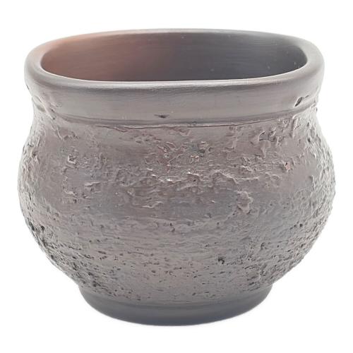 ぐい呑み 亀 井上素三 不識庵素之陶