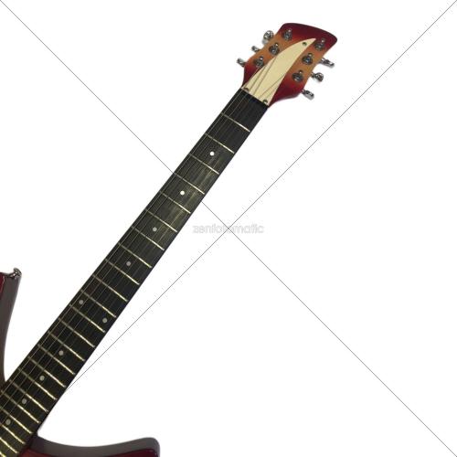 NO BRAND (ノーブランド) Rickenbacker330Type