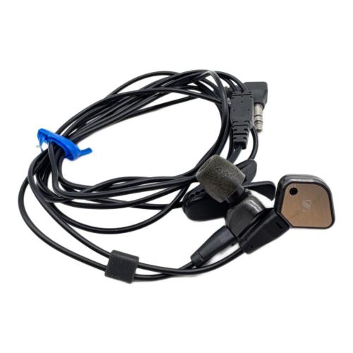 SENNHEISER (ゼンハイザー) イヤホン IE80