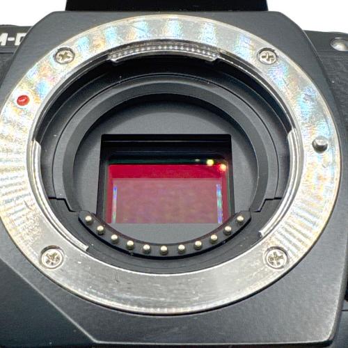 OLYMPUS (オリンパス) ミラーレス一眼カメラ E-M10 OM-D Mark II