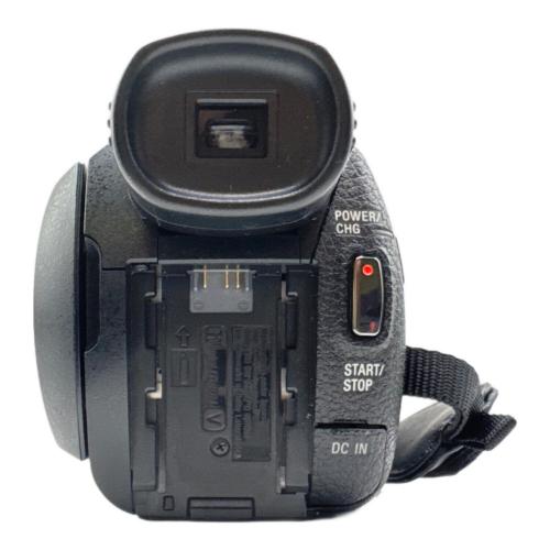 SONY (ソニー) デジタルビデオカメラ FDR-AX55 HDP-7880ES付