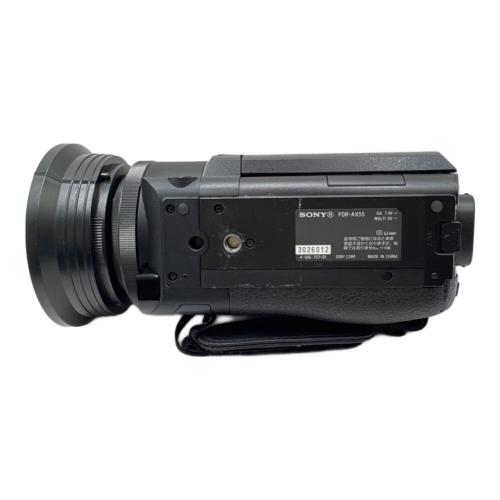 SONY (ソニー) デジタルビデオカメラ FDR-AX55 HDP-7880ES付