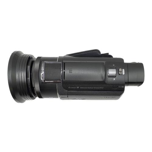 SONY (ソニー) デジタルビデオカメラ FDR-AX55 HDP-7880ES付